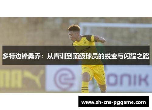 多特边锋桑乔：从青训到顶级球员的蜕变与闪耀之路