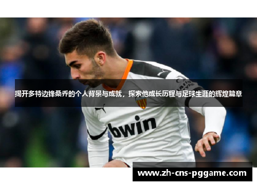 揭开多特边锋桑乔的个人背景与成就，探索他成长历程与足球生涯的辉煌篇章